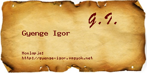 Gyenge Igor névjegykártya